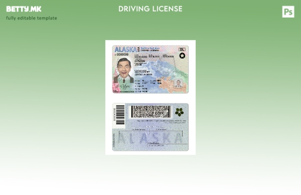 Модерен стил USA Alaska DL шаблон